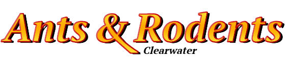 Clearwater Ant Exterminator & Rodent Control Company Logo